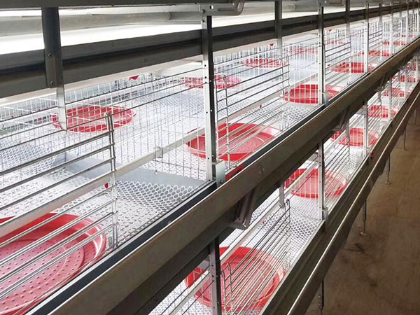 H type pullet cage project