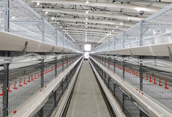 broiler cage case