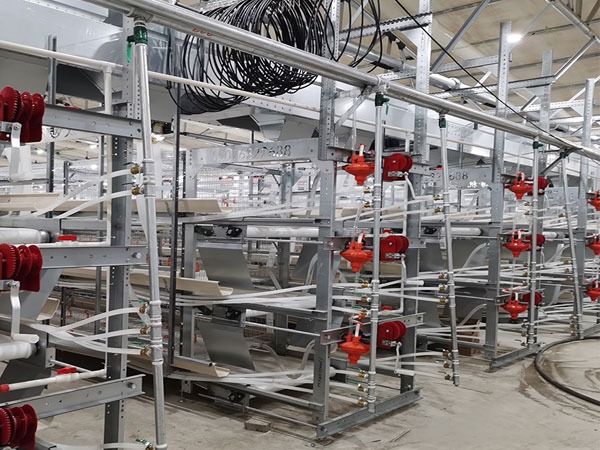 broiler chicken cage case