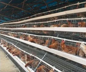common strong cage mesh
