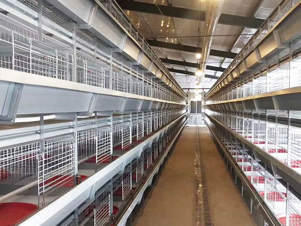 pullet cage case