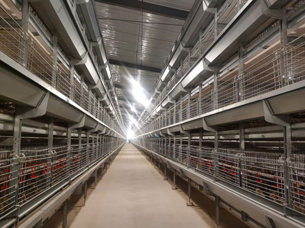pullet cage of AGICO
