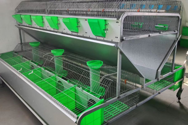 automatic drinking system