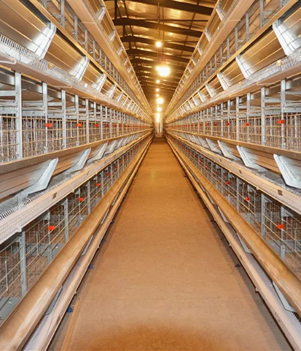 chicken cage of AGICO