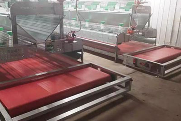 cleaning manure system case