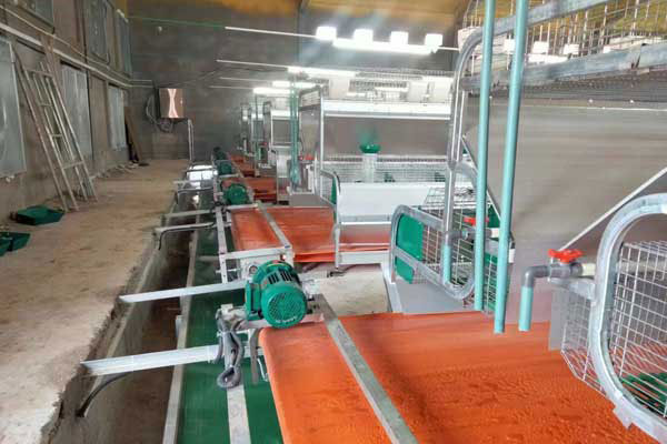 cleaning manure system