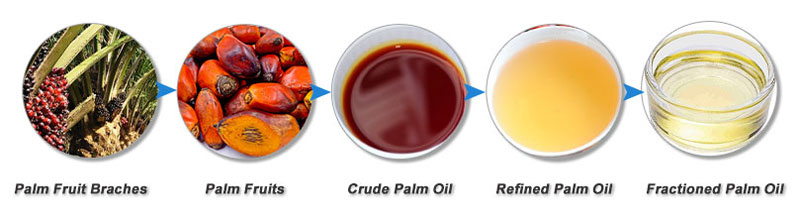 palm oil process