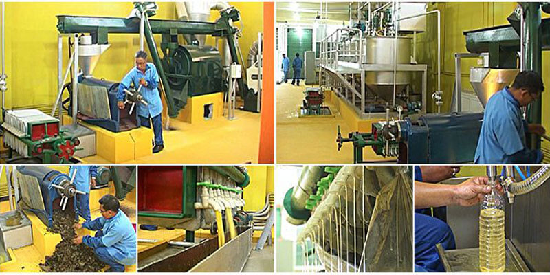 edible oil processing plant case