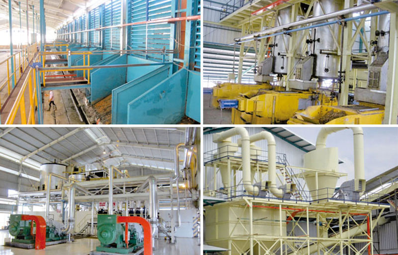edible oil processing plant