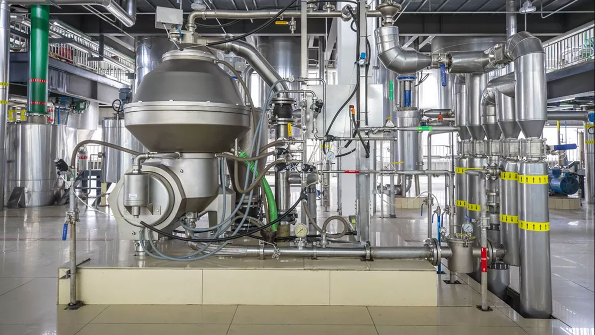 avocado oil plant project
