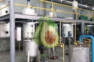 avocado oil processing plant image