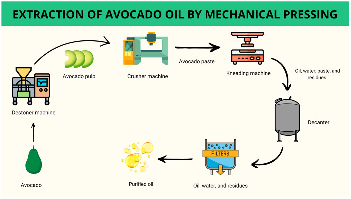 avocado oil processing plant process