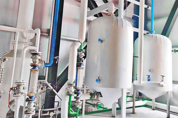 seeds linseed oil plant