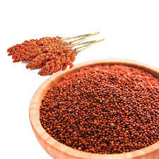 Finger Millet