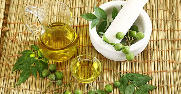 Neem Oil mill image