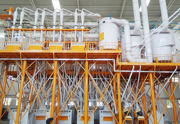 agico rice flour making machine case