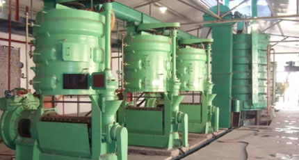 black seed oil plant-project