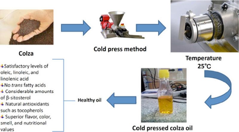cold pressing of rapeseed oil production