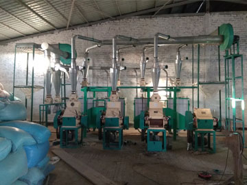 corn flour mills project