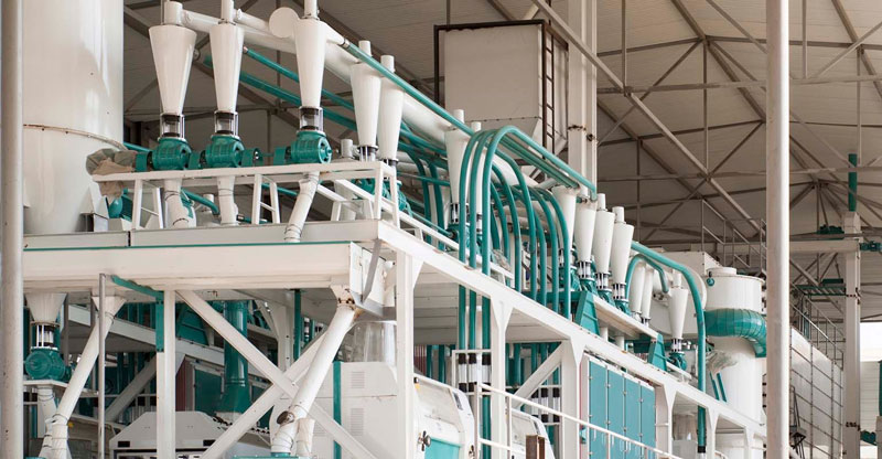 cost of flour mill plant image