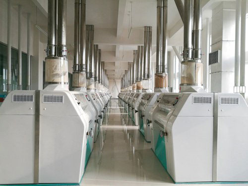 millet flour mill project