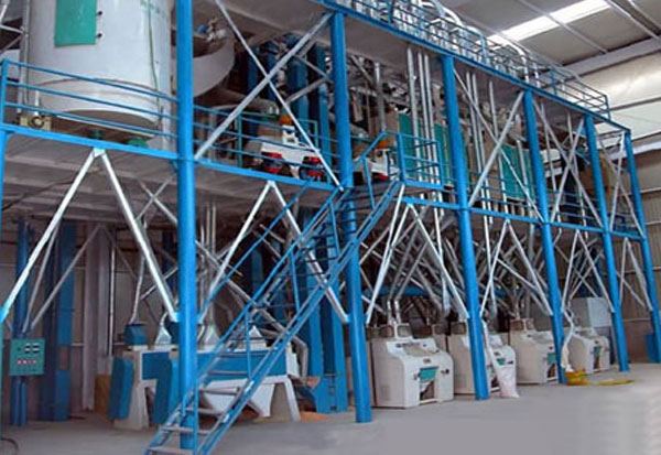 wheat flour mill plant
