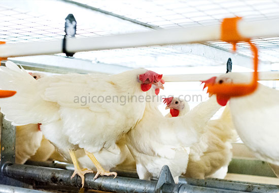 Enriched Cages case