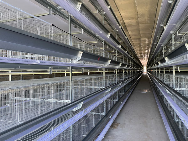 egg laying cage case