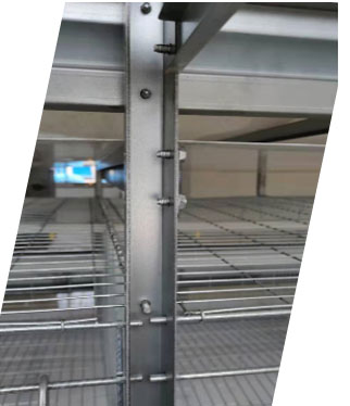 egg laying cage structure