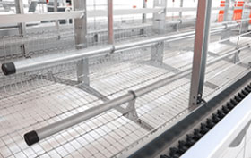 enriched chicken cage Perches