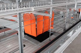 enriched chicken cage bigger cage