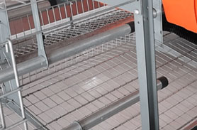 enriched chicken cage litter area