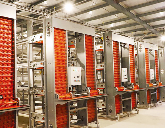 Automatic Egg Collecting System case