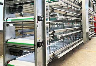 Automatic Manure removing system case