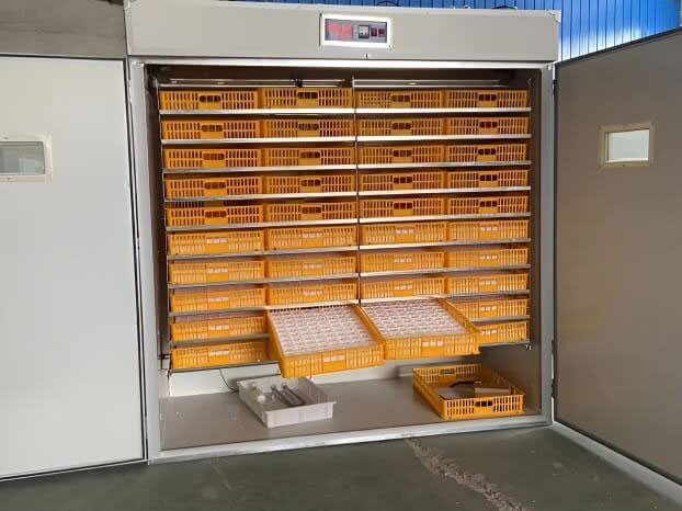 Commercial Egg Incubator For Sale