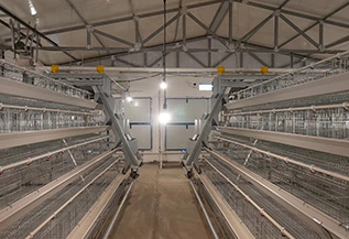 Ladder feeding machine