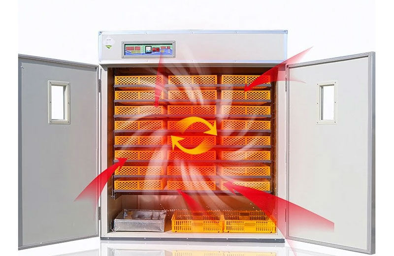 commercial egg incubator case