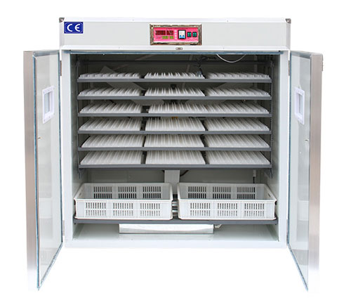 medium egg incubator case