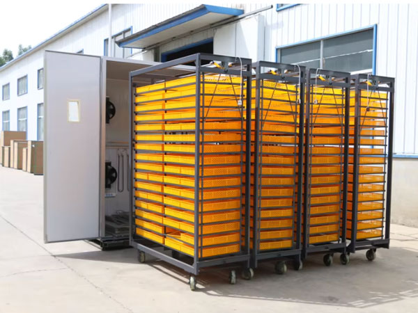 1000 egg incubator case
