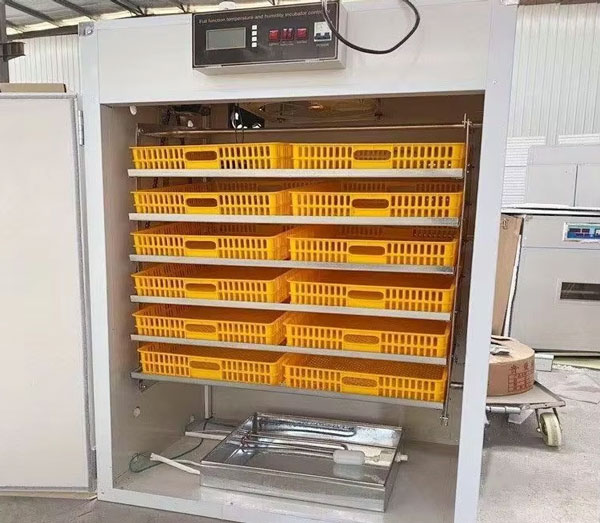 1000 egg incubator case