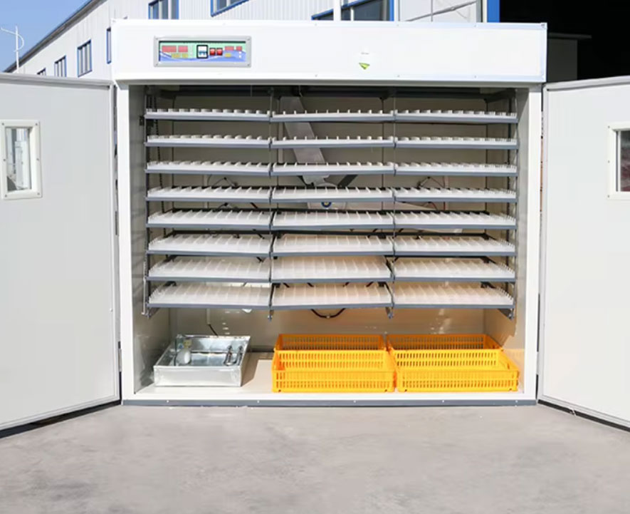 10000 egg incubator advantages