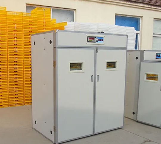 2000 egg incubator case