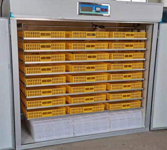 2000 egg incubator project