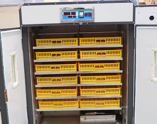 500 egg incubator of agico