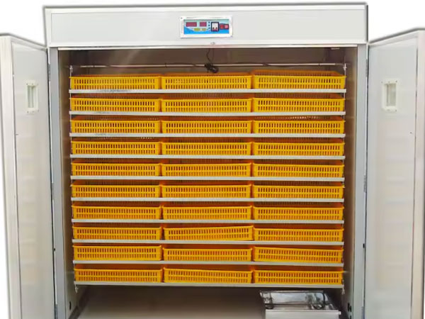 High hatching rate of 5000 egg incubator