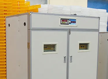 Window design of 10000 egg incubator