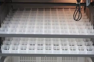 egg tray image