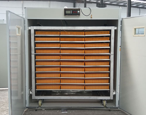 other size egg incubator picture