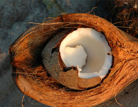 Coconut Husk