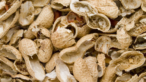 Peanut shell
